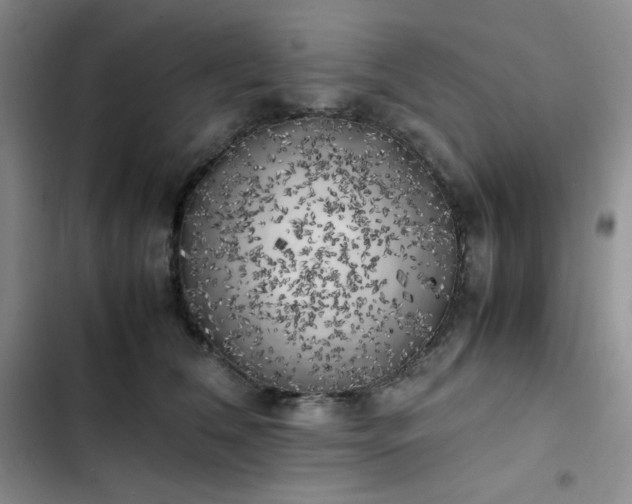 X0000102860612200808251228