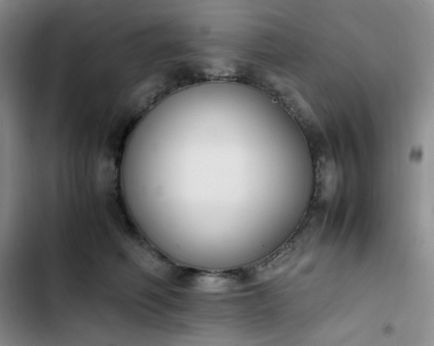 X0000102860614200808251228