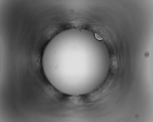 X0000102860615200808251228