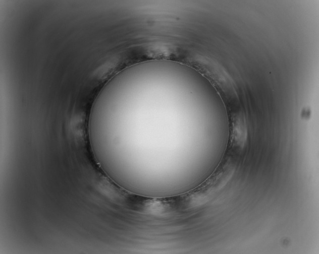 X0000102860616200808251227