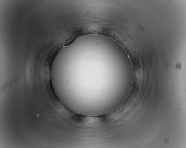 X0000102860617200808251227