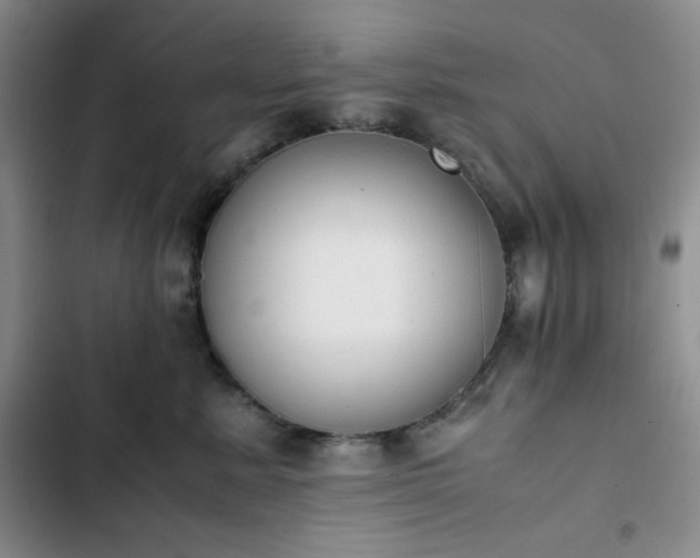 X0000102860619200808251227