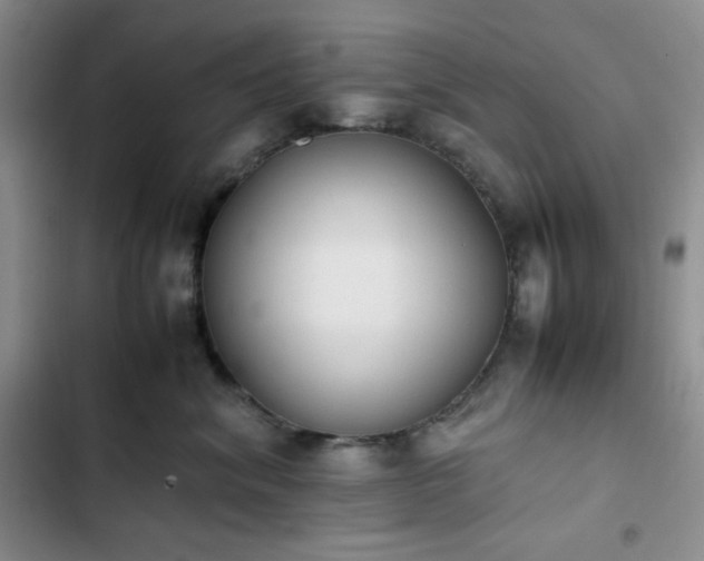 X0000102860620200808251227