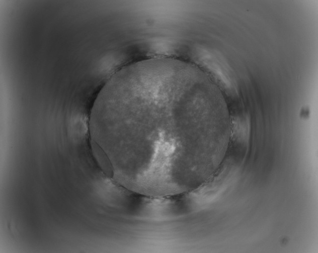 X0000102860621200808251227