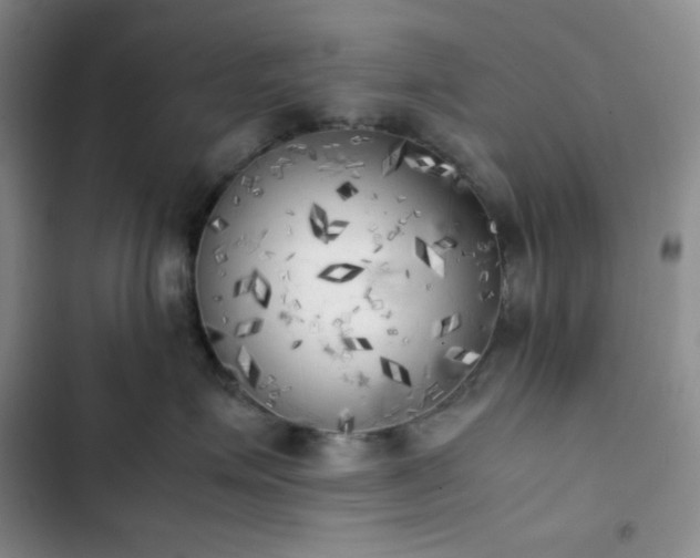 X0000102860623200808251227
