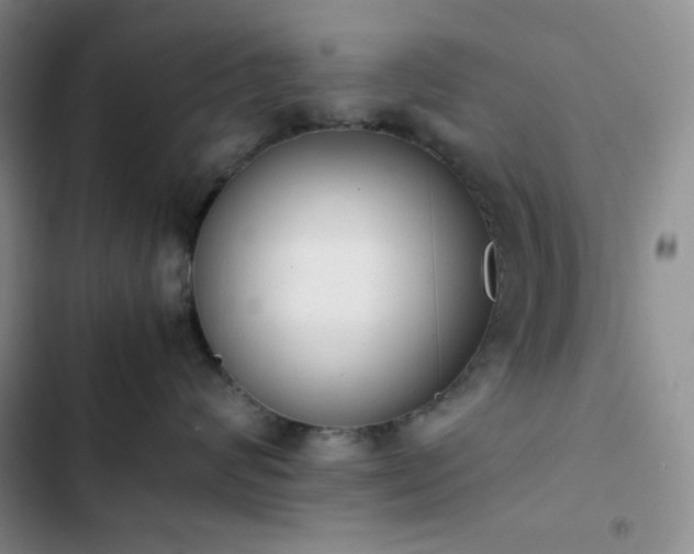 X0000102860624200808251227