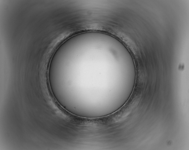 X0000102860625200808251227