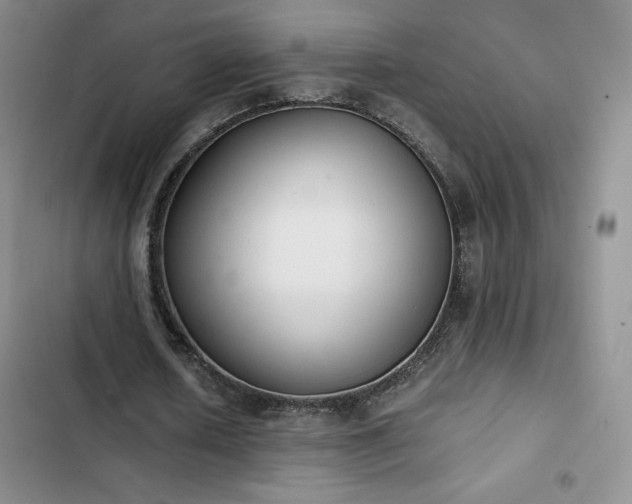 X0000102860626200808251227