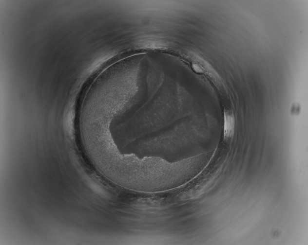 X0000102860627200808251227