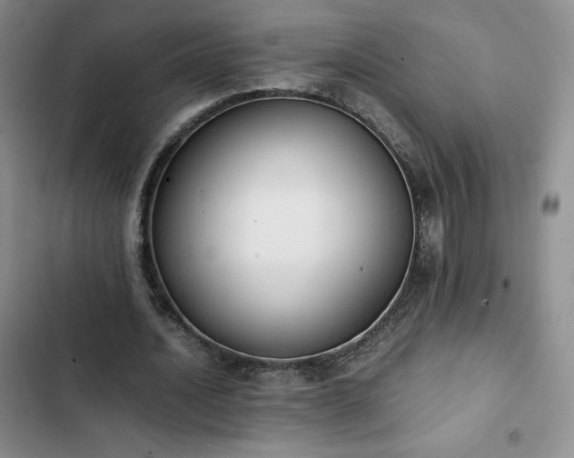 X0000102860628200808251227