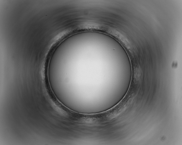 X0000102860629200808251227