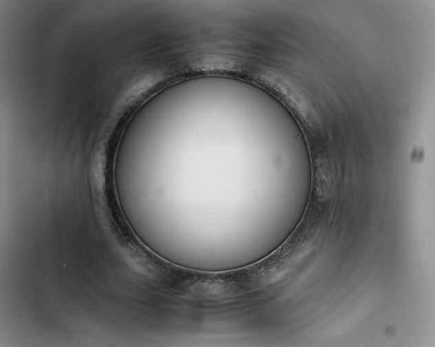 X0000102860631200808251227