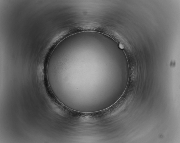 X0000102860634200808251227