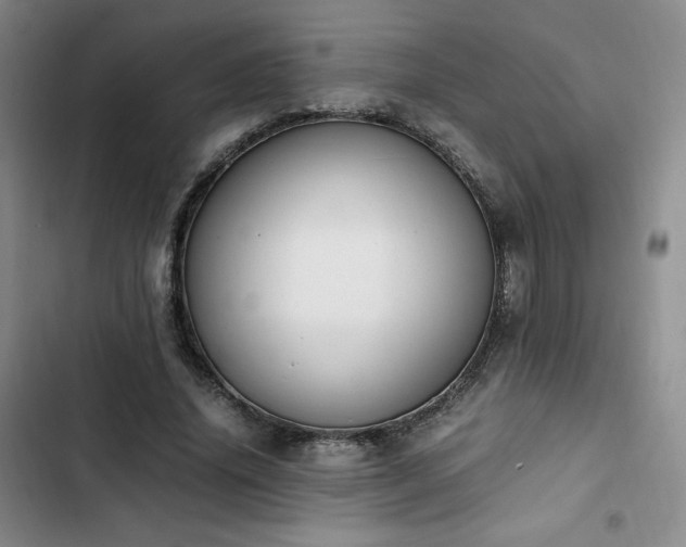 X0000102860636200808251227