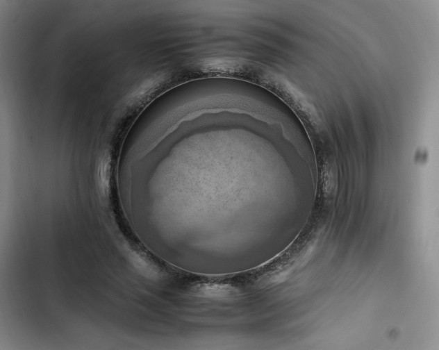 X0000102860637200808251227