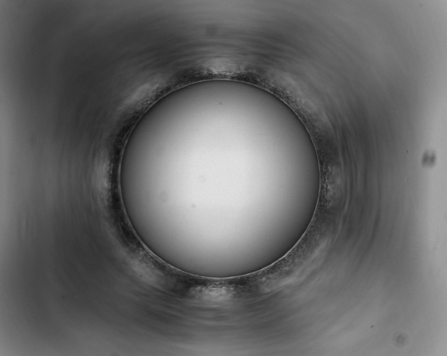 X0000102860639200808251227