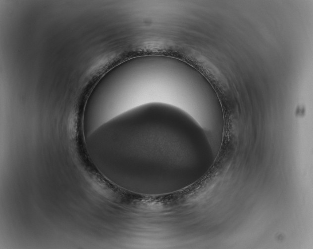 X0000102860640200808251227