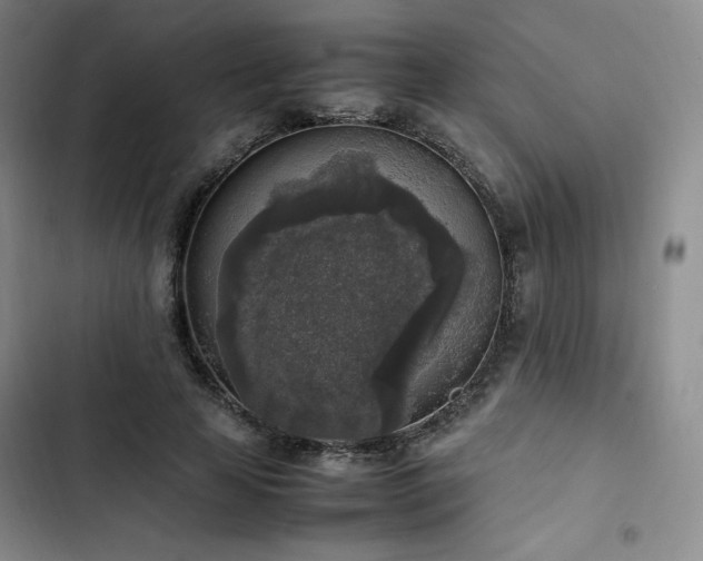 X0000102860641200808251227