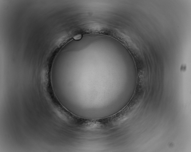 X0000102860642200808251227