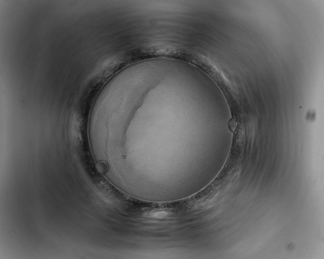 X0000102860643200808251227