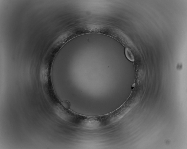 X0000102860644200808251227