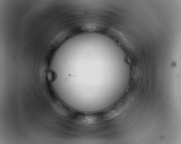 X0000102860645200808251227