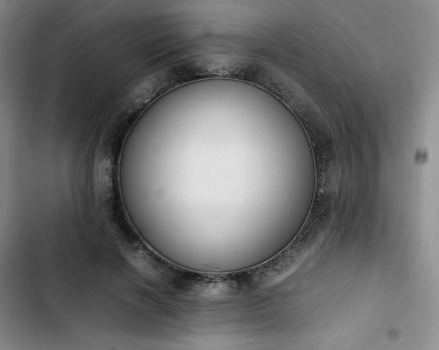 X0000102860646200808251227