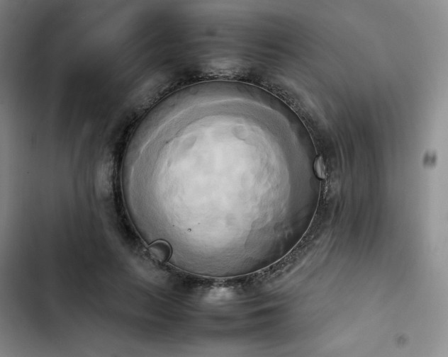 X0000102860647200808251227