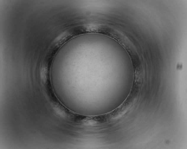 X0000102860648200808251227