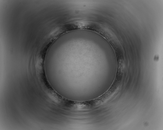 X0000102860650200808251227