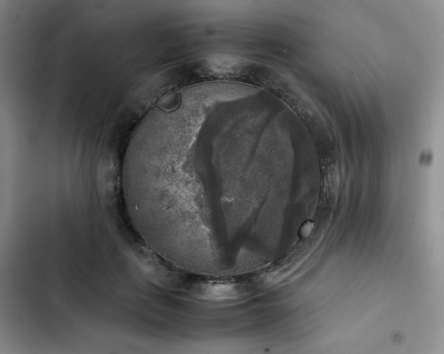 X0000102860651200808251227