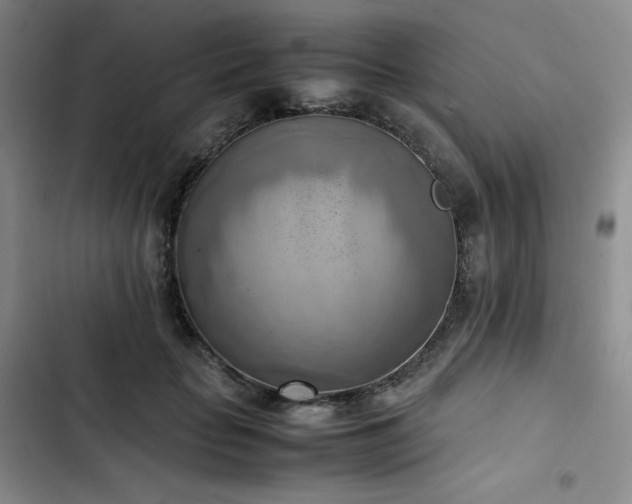 X0000102860653200808251227