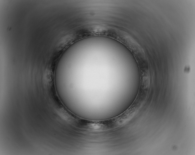 X0000102860654200808251227