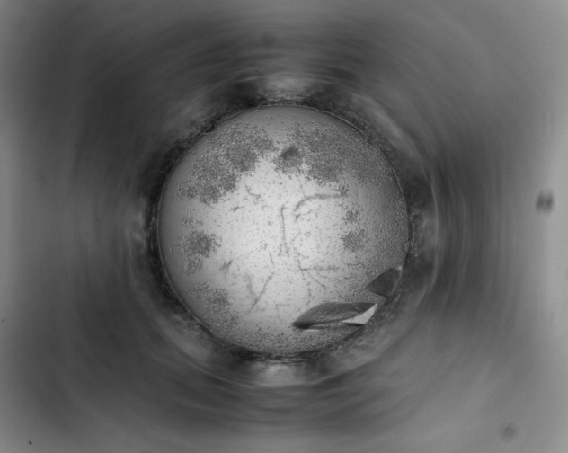 X0000102860655200808251227