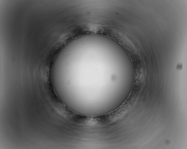 X0000102860656200808251227