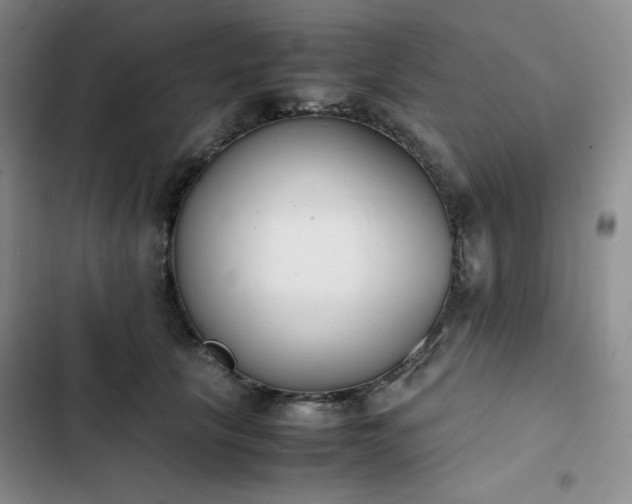 X0000102860657200808251227