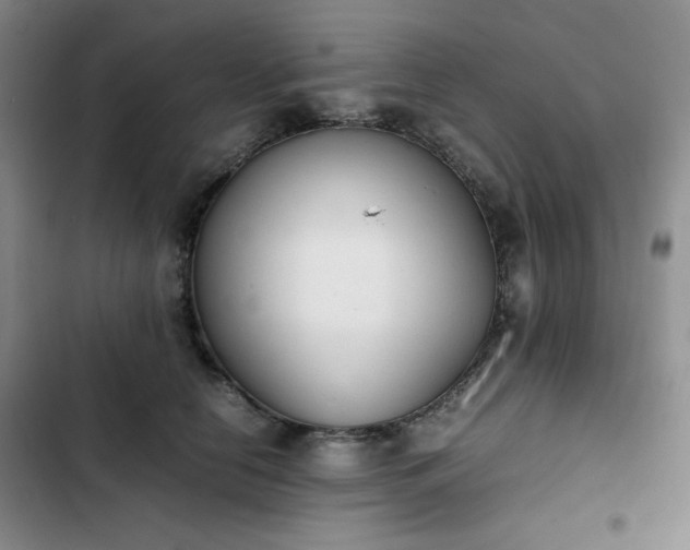 X0000102860658200808251227