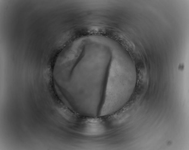 X0000102860659200808251227