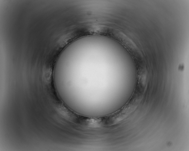 X0000102860660200808251227