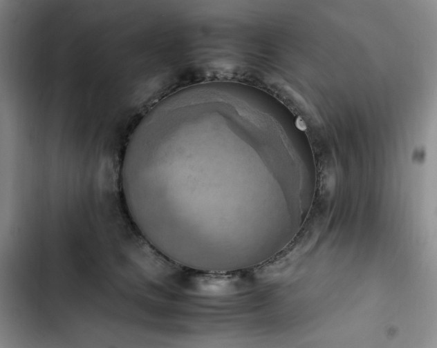 X0000102860661200808251227