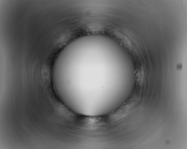 X0000102860662200808251227