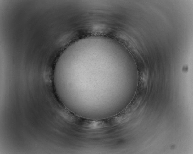 X0000102860663200808251227