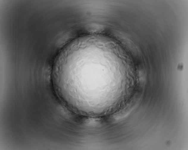 X0000102860664200808251227