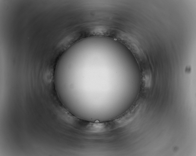 X0000102860665200808251227