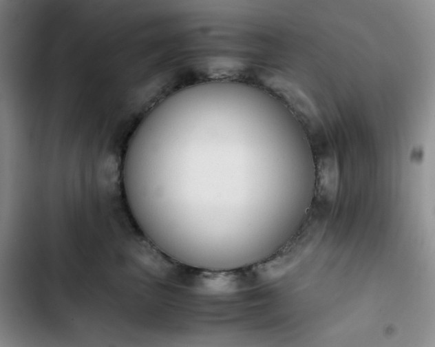 X0000102860667200808251227