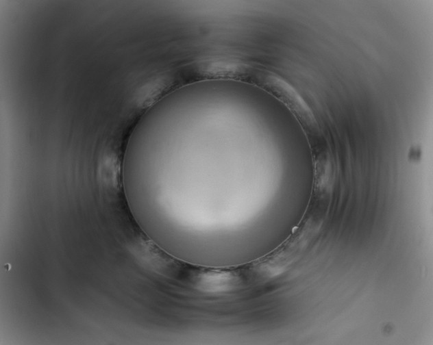 X0000102860669200808251227