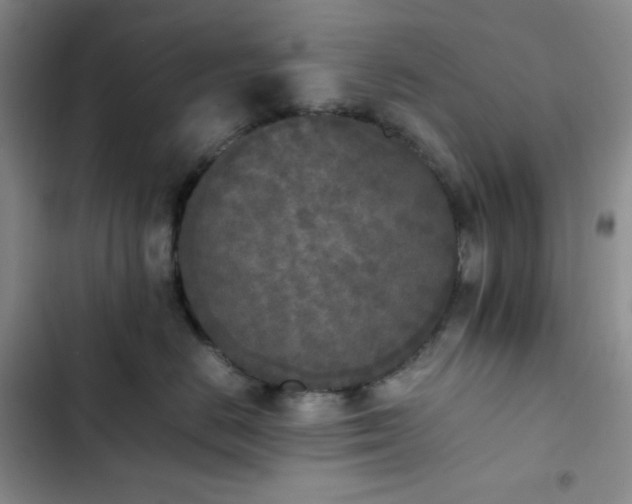 X0000102860670200808251227