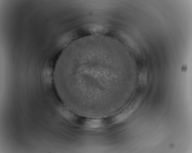 X0000102860671200808251227