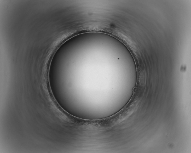 X0000102860673200808251227