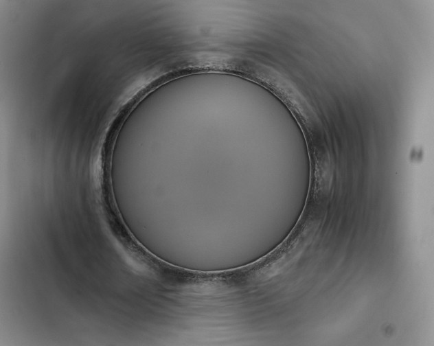 X0000102860674200808251227